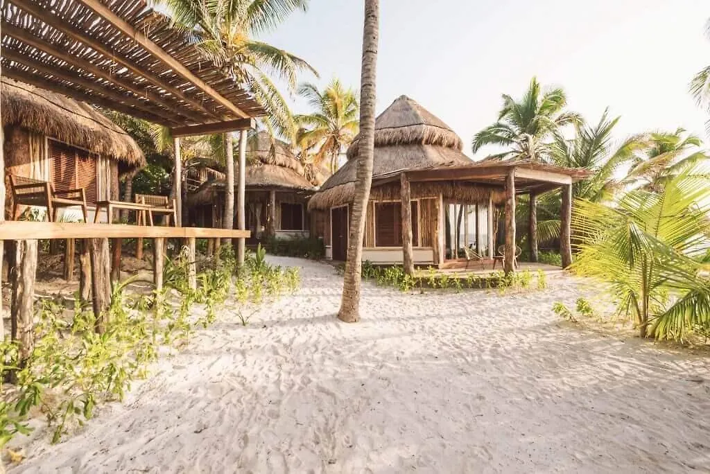 Delek Tulum Hotel Mexico
