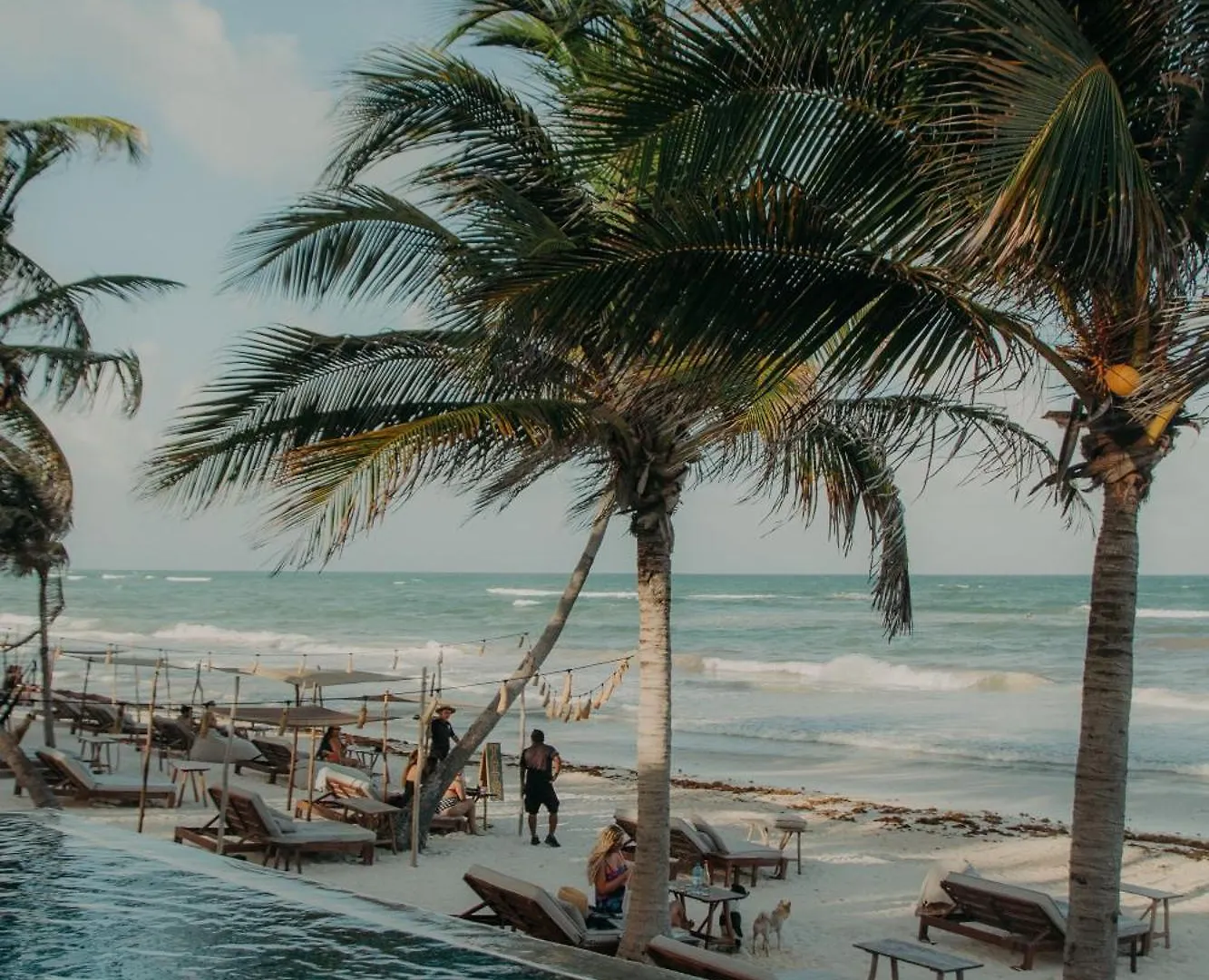 Delek Tulum Hotel